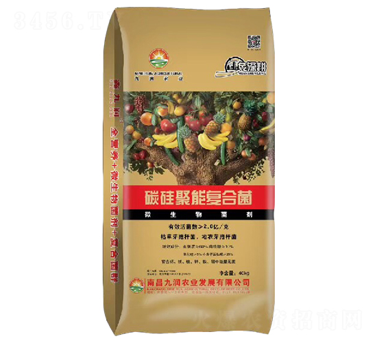 ̼܏ͺϾ-ŝr(nng)I(y)