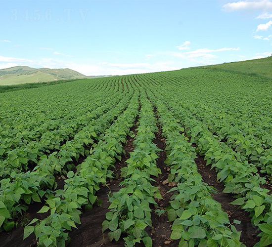 ඹ4̖(ho)-󶹷N-طNI(y)