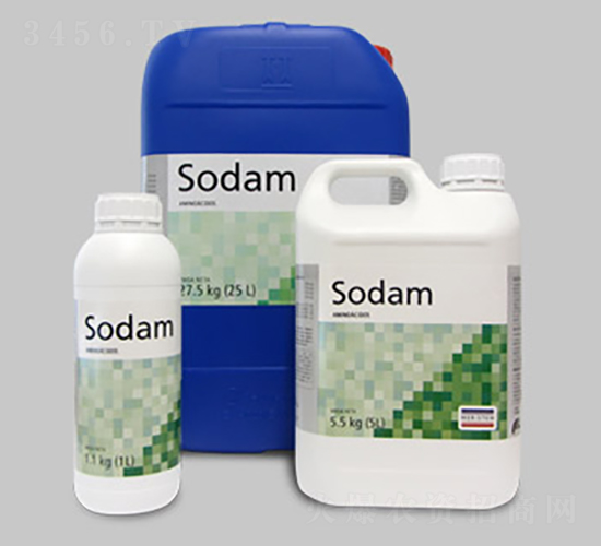 MERIORGAN ΢ЙC̼ޏ̈́-~˹