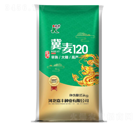冀麥120-小麥種子-嘉科
