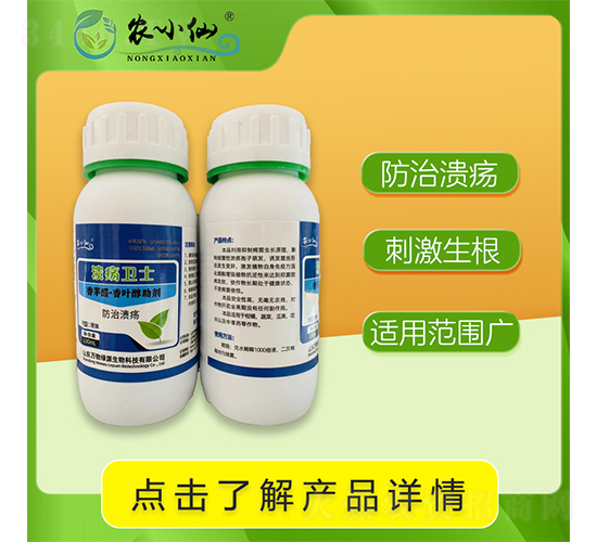 l(wi)ʿΝ-r(nng)С-f(wn)GԴ