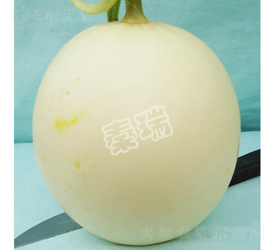 小籽-甜瓜種子-秦瑞