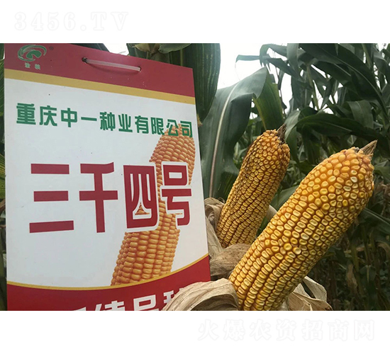 ǧ4̖(ho)ɽСڣ-׷N-r(nng)Ƽ