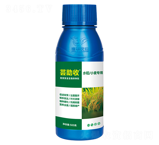 ˮСøЧN-|-Ar(nng)I(y)