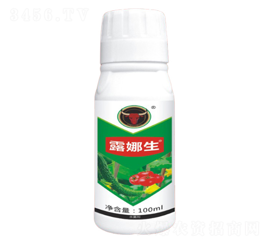 (x)(zhun)-¶-ţ(gu)H