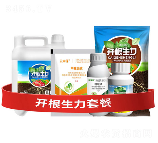 _(ki)ײ͢-_(ki)-ƴƼ