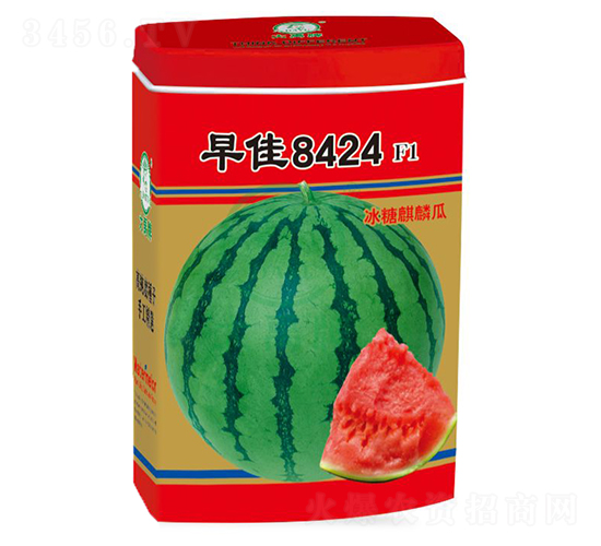 早佳8424西瓜種子-大禹種業(yè)