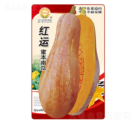 ϹϷN-t\(yn)۱Ϲ-̫NI(y)