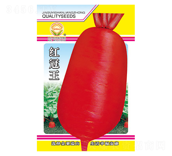 蘿卜種子-紅冠王-太樂種業(yè)