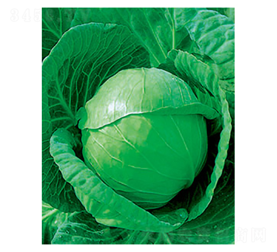 иʮһ{(ln)N-̫NI(y)