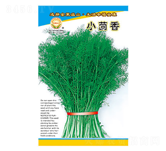 小茴香-太樂(lè)種業(yè)