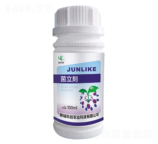 -(chung)|z-ĳǿƄ(chung)