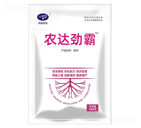 r(nng)_(d)Ű-r(nng)_(d)