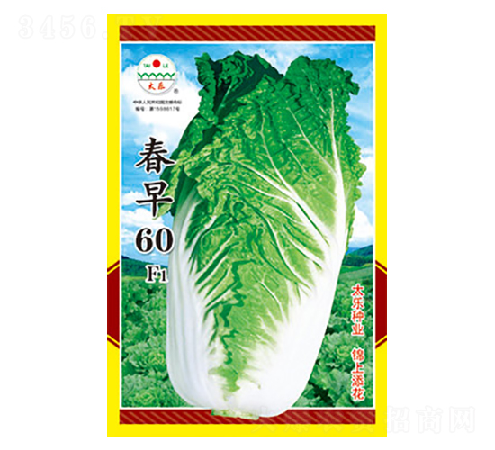 ײ˷N-60F1-̫(l)NI(y)