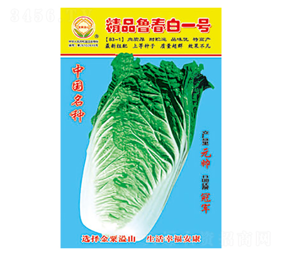 ײ˷N-Ʒһ̖-̫NI(y)