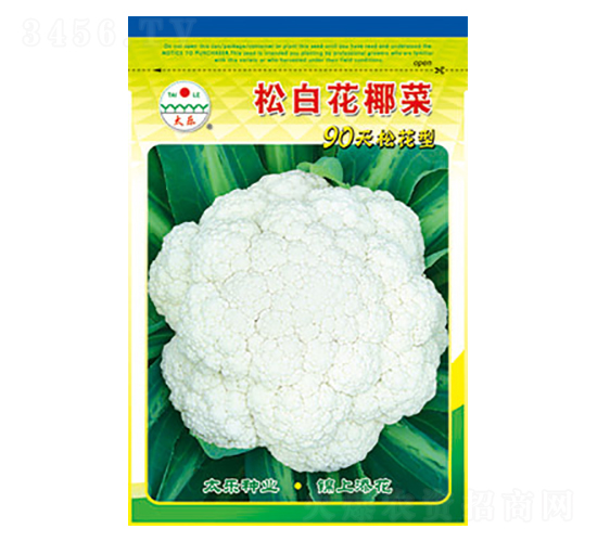 ׻Ҭ˷N-ɰ׻Ҭ-̫NI(y)