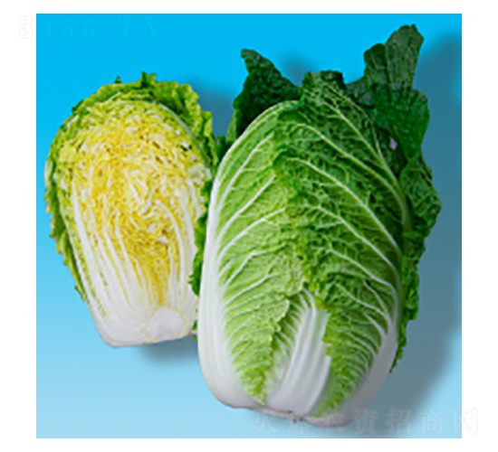 ײ˷N-S321-A孷NI(y)