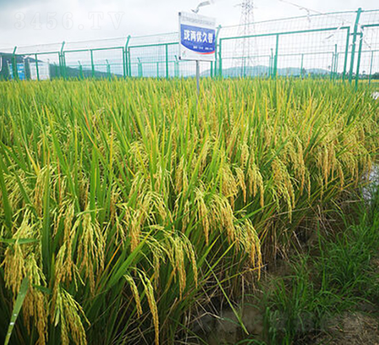 Ƀ(yu)-ˮN-𽡷NI(y)