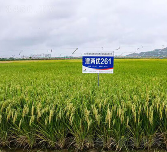 Ƀ(yu)261-ˮN-𽡷NI(y)