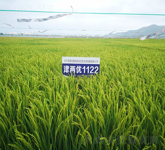 Ƀ(yu)1122-ˮN-𽡷NI(y)