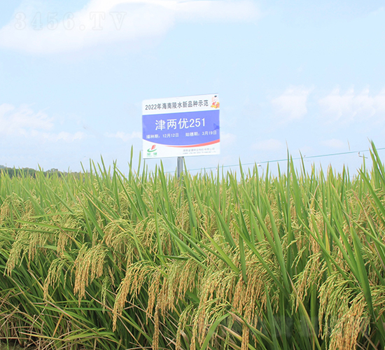 Ƀ(yu)251-ˮN-𽡷NI(y)