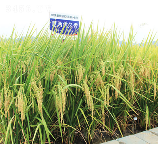 ۃɃ(yu)-ˮN-𽡷NI(y)