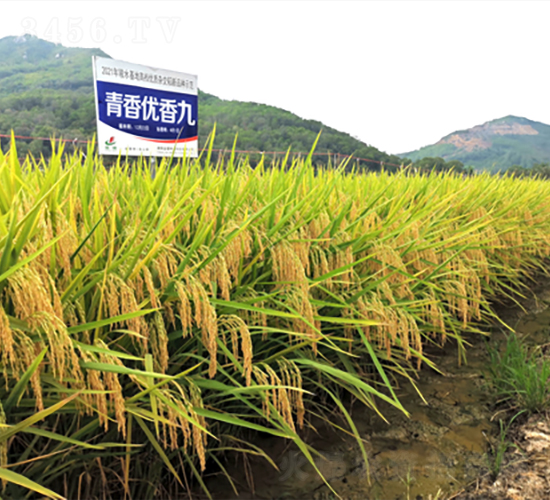 マ(yu)-ˮN-𽡷NI(y)