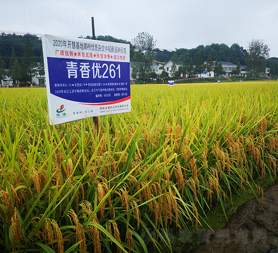 マ(yu)261-ˮN-𽡷NI(y)