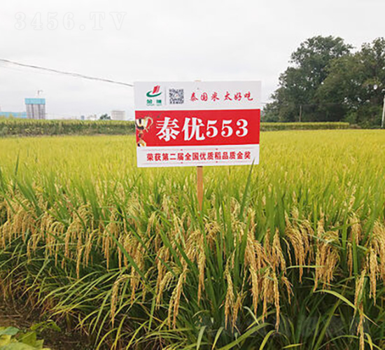 ̩(yu)553-ˮN-𽡷NI(y)