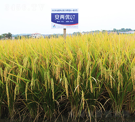 Ƀ(yu)Q7-ˮN-𽡷NI(y)