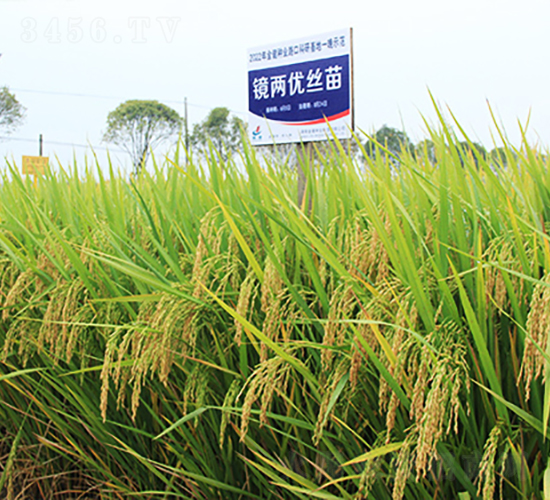 RɃ(yu)z-ˮN-𽡷NI(y)