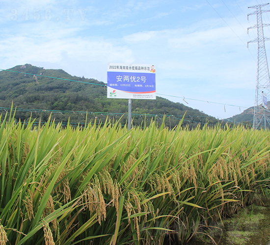 Ƀ(yu)2̖-ˮN-𽡷NI(y)