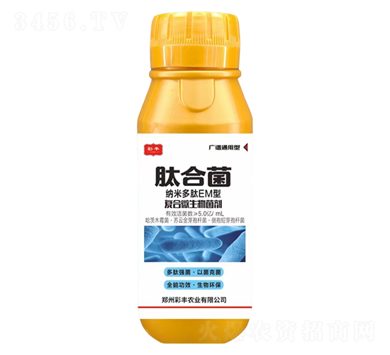 (f)΢-ĺϾ-Sr(nng)I(y)