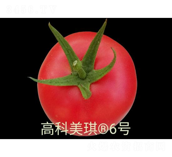 ߿6̖(ho)-ѷN-SNI(y)