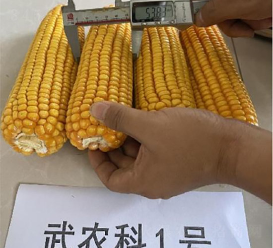 r(nng)1̖(ho)-׷N-SNI(y)