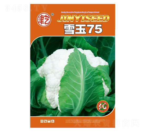 ˷N-ѩ75-Sr(nng)I(y)