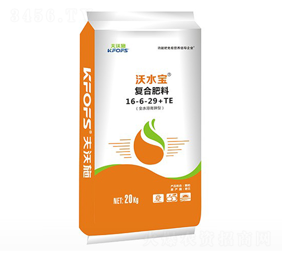 ˮwˮܷʸ16-6-29+TE-ʩ