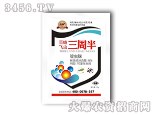 äwx(chng)ܰ-r(nng)I(y)