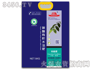 (yng)ϵ̼øЙC(j)ˮܷ-