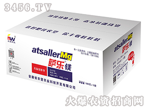 1000g΢ʣb-_(l)V-r(nng)