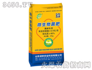 (sh)΢-S-(rn)r(nng)I(y)