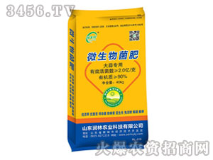 ⌣΢-S-(rn)r(nng)I(y)