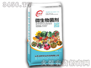 (sh)΢-S-(rn)r(nng)I(y)