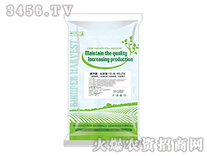 ˮܷ-12-6-40+T-(j)1̖(ho)-Մ(chung)