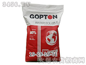 ӢԭM(jn)ڹDطNϴԪˮܷ19-19-19+TE-ɪ