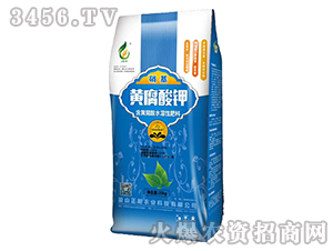 20kgS-(yng)r(nng)I(y)