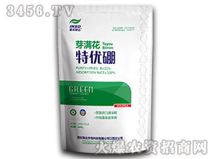 ؃(yu)-ѿM-r(nng)˹_