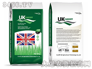 ˮܷ10-40-10+10+TE-Ϸ4̖(ho)-Ϸ 