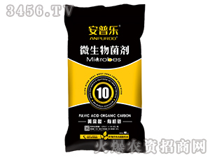 10|SЙC(j)̼΢w-՘(l)-f(wn)B(ti)