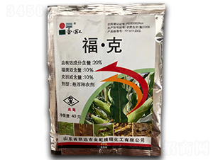 20%ˑҸN40g--r(nng)(gu)̩